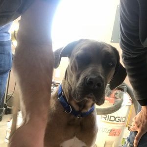 Meet your Posher, Tina